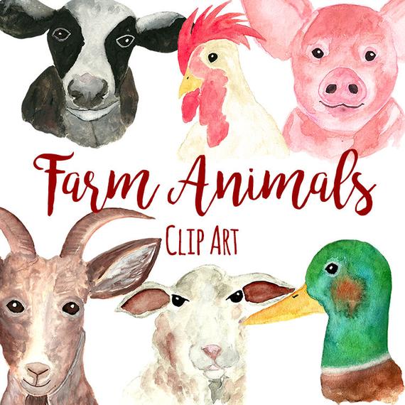570x570 Hand Painted Watercolor Farm Animals Clipart Instant Etsy - Watercolor Farm Animals