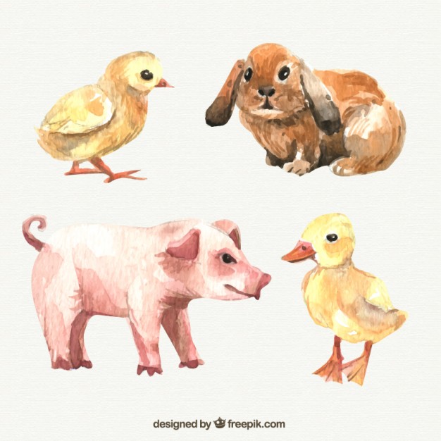 626x626 Watercolor Farm Animals Vector Free Download - Watercolor Farm Animals