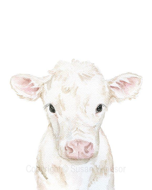 580x725 White Calf Watercolor Cow - Watercolor Farm Animals