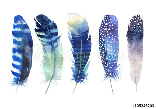 500x349 Hand Drawn Watercolor Feather Set. Boho Style. Watercolour - Watercolor Feather