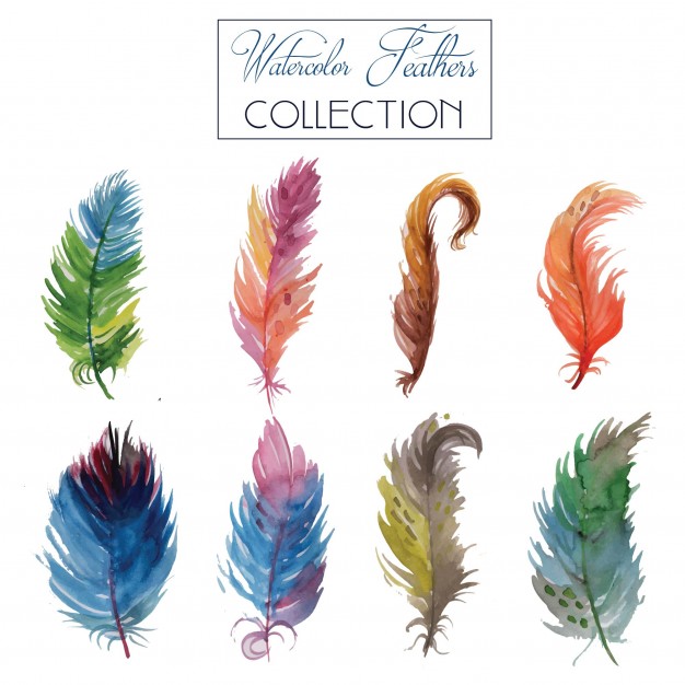 626x626 Watercolor Feather Collection Vector Free Download - Watercolor Feather