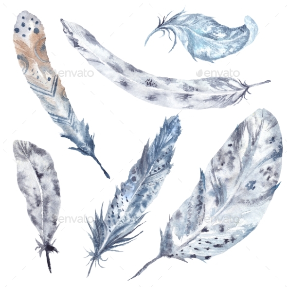 590x590 Grey Watercolor Feather Set By Kisika Graphicriver - Watercolor Feather