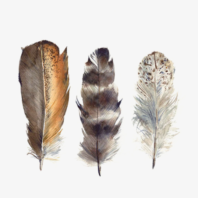 650x651 Hand Painted Watercolor Feather, Watercolor Clipart, Hand Painted - Watercolor Feather Painting