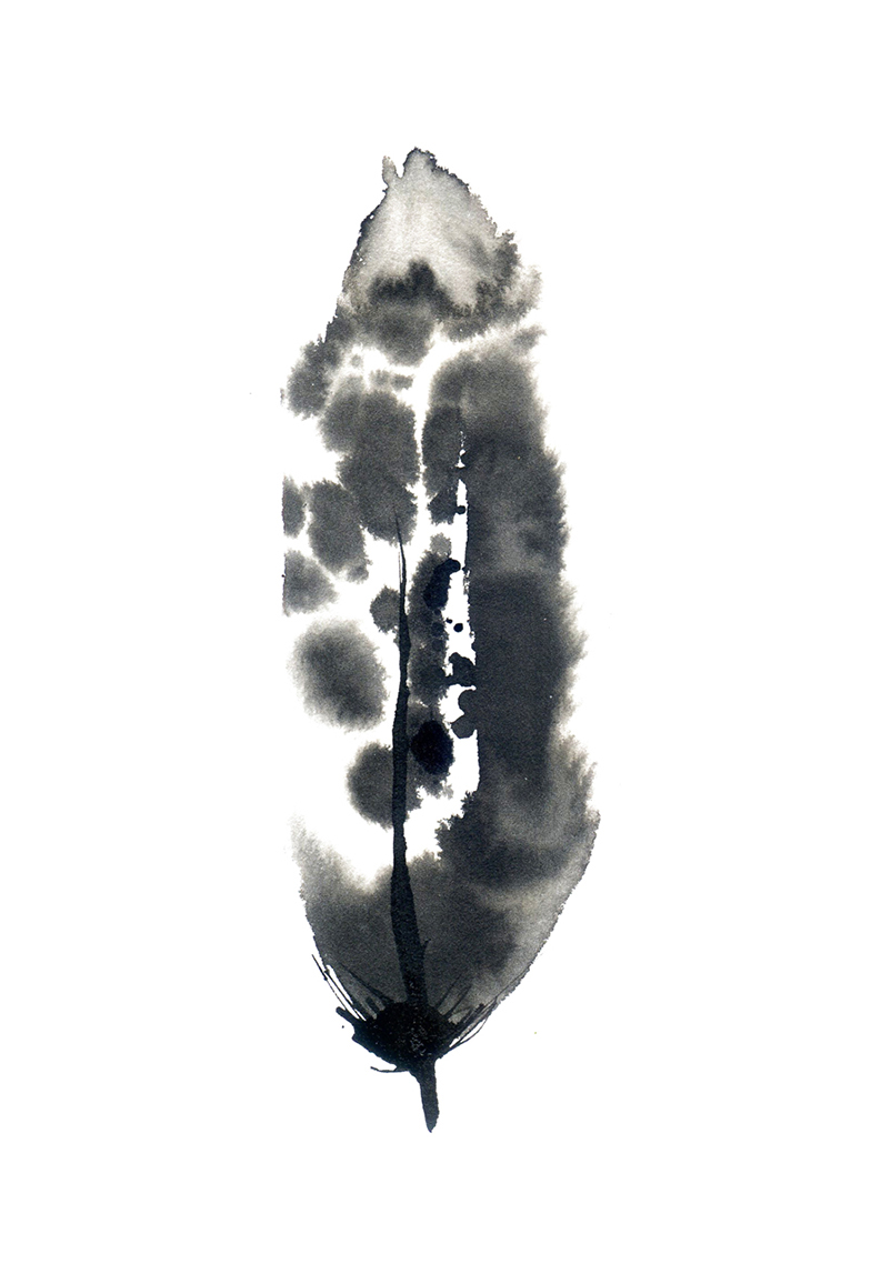 802x1138 Inky Feather Print 1 - Watercolor Feather Painting