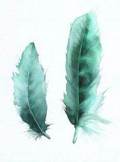 236x320 Original Watercolor - Watercolor Feather Painting