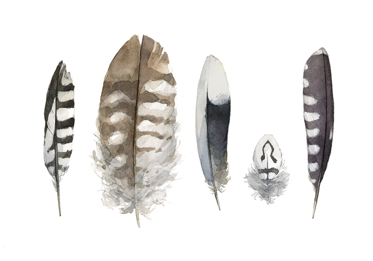 Watercolor Feather Painting At PaintingValley.com | Explore Collection ...