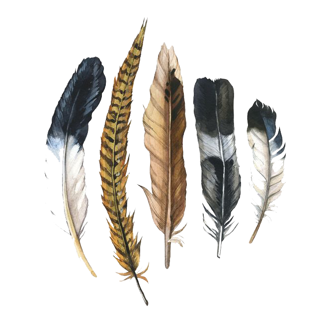 658x658 Watercolor Painting Feather Drawing Illustration - Watercolor Feather Painting
