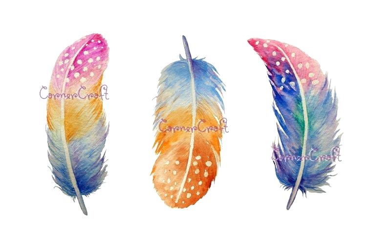 802x492 Watercolor Feathers Spotted Feather Illustration Tutorial Hervoice - Watercolor Feather Tutorial