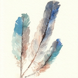250x250 Watercolor Feathers Crafthubs - Watercolor Feather Tutorial