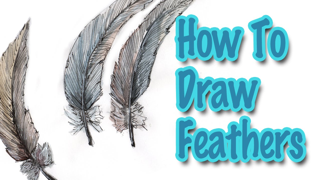 1280x720 How To Draw Feathers Using Watercolors - Watercolor Feather Tutorial