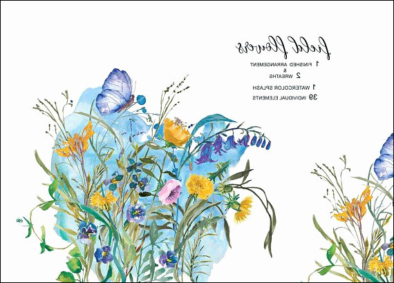570x410 Flower Bouquet Clipart Inspirational Watercolor Field Flowers - Watercolor Field Of Flowers