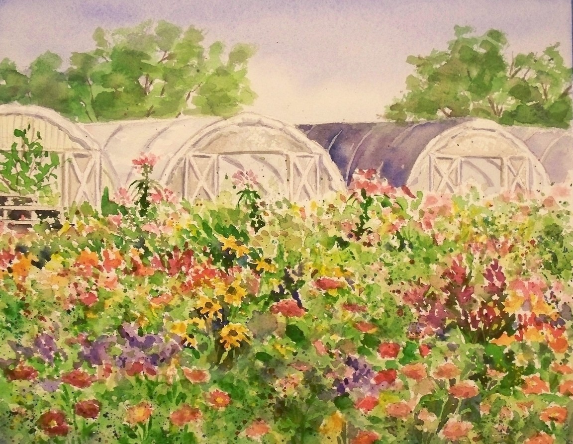 1152x893 Hwfd - Watercolor Field Of Flowers