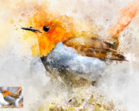 200x160 Learn How To Create A Night Effect In Photoshop Entheos - Watercolor Filter