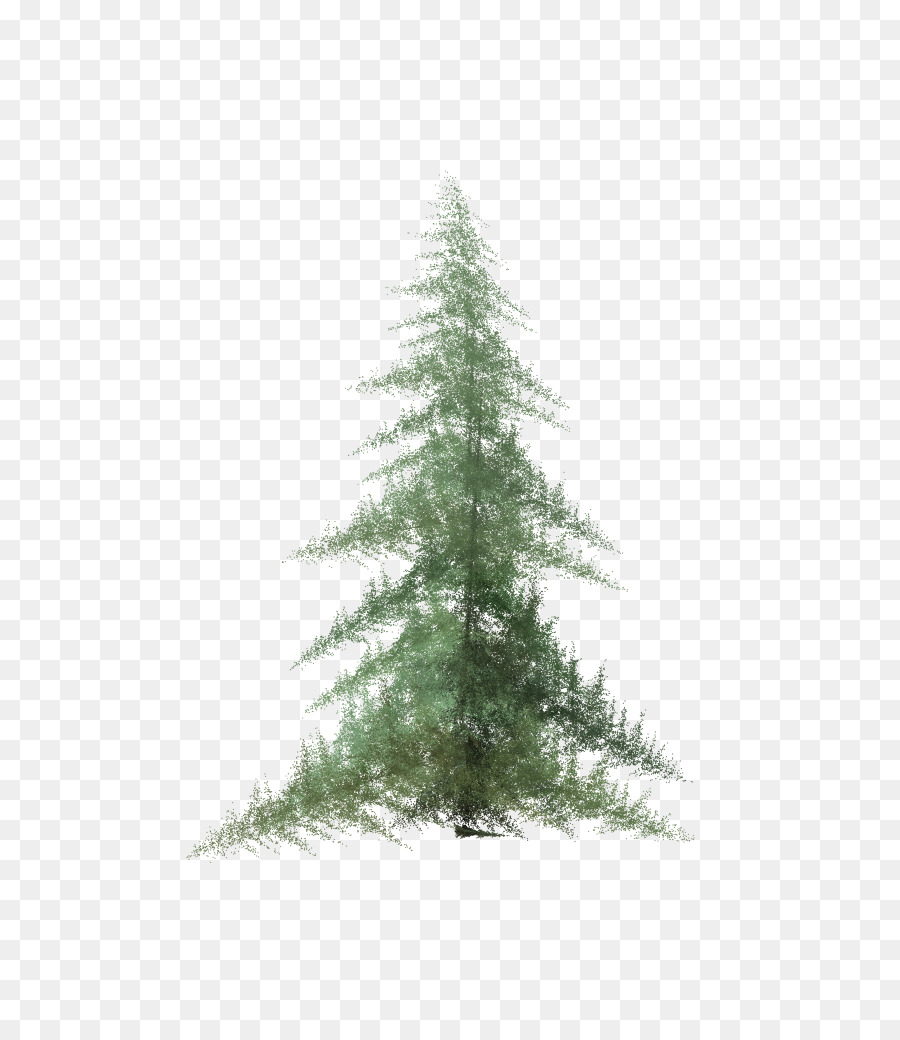 900x1040 Pine Spruce Fir Tree - Watercolor Fir Trees