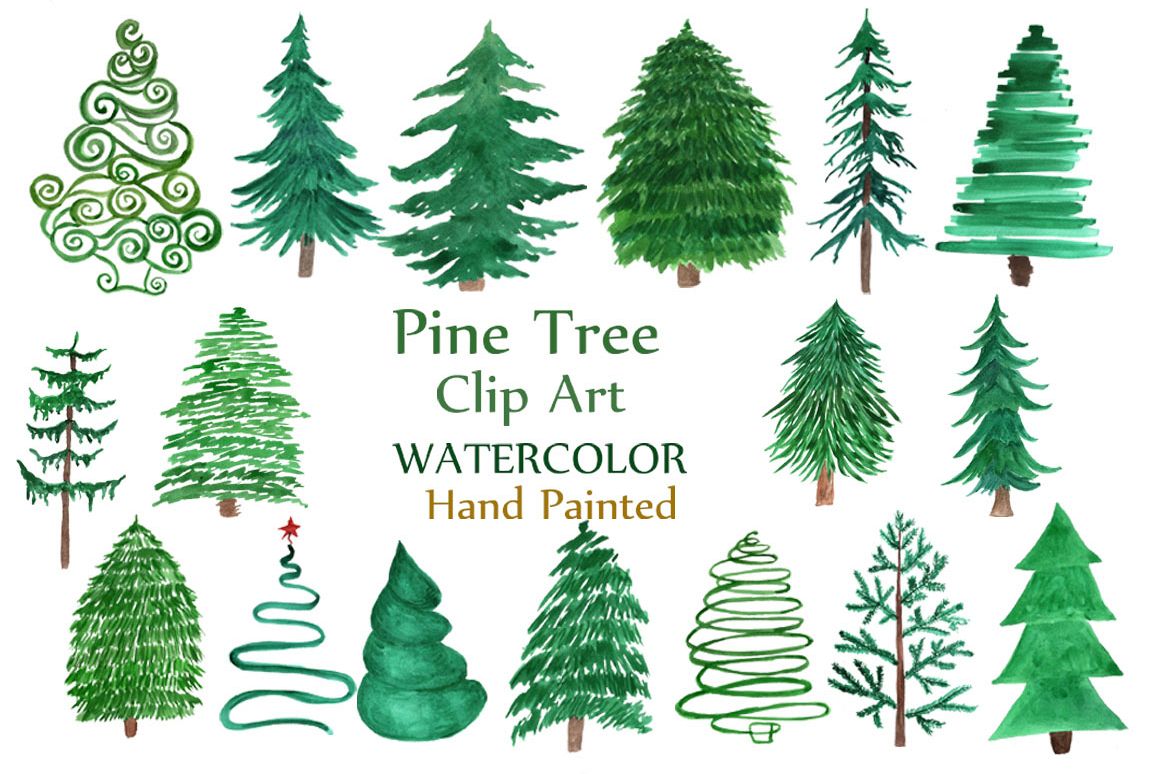 1162x774 Watercolor Pine Trees Clipart - Watercolor Fir Trees