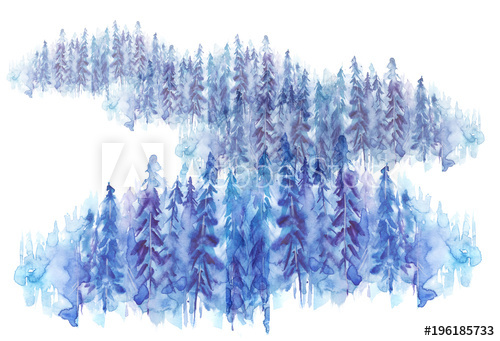 500x341 Watercolor Group Of Trees - Watercolor Fir Trees