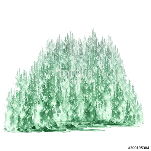 500x500 Watercolor Group Of Trees - Watercolor Fir Trees