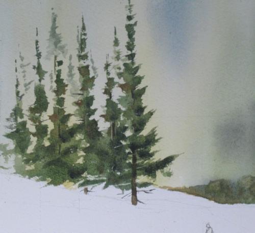 500x458 Fir Trees [Archive] - Watercolor Fir Trees