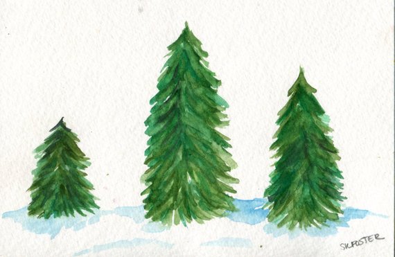 570x371 Fir Christmas Trees Original Watercolor Painting 4 X 6 Fir Etsy - Watercolor Fir Trees