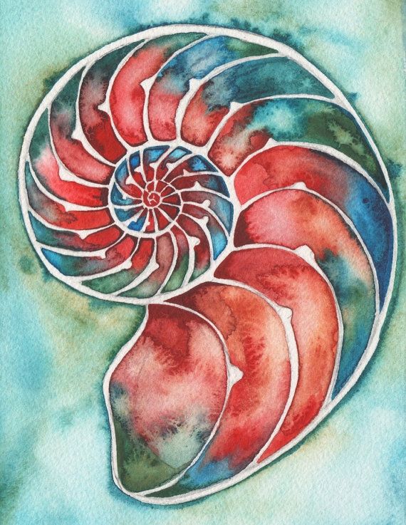 570x737 Fire Nautilus 5 X 7 Print Of Watercolour Seashell Crimson Scarlet - Watercolor Fire Tattoo