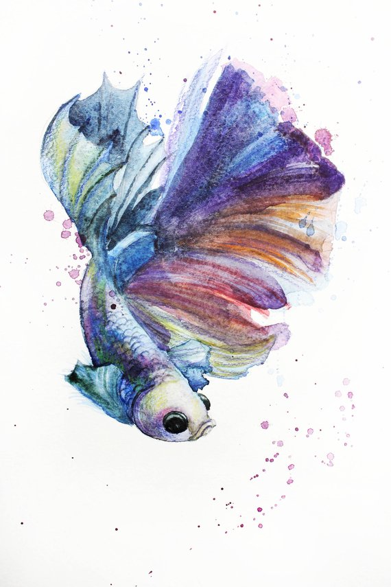 570x855 Print Of Watercolor Fish Illustration Fish Betta Art Betta Etsy - Watercolor Fish