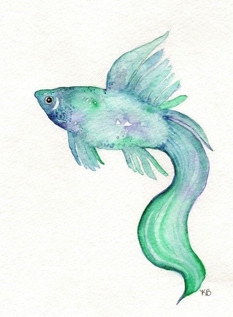 472x640 Pin By Haley Hill On Ig Inspo In 2018 Watercolor - Watercolor Fish