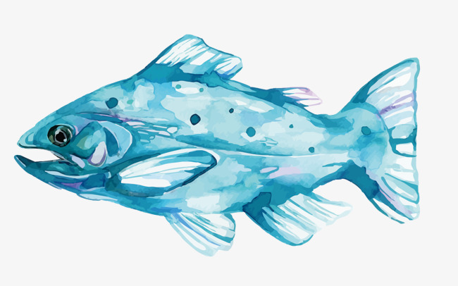 650x406 Vector Watercolor Fish, Watercolor Vector, Fish Vector, Watercolor - Watercolor Fish