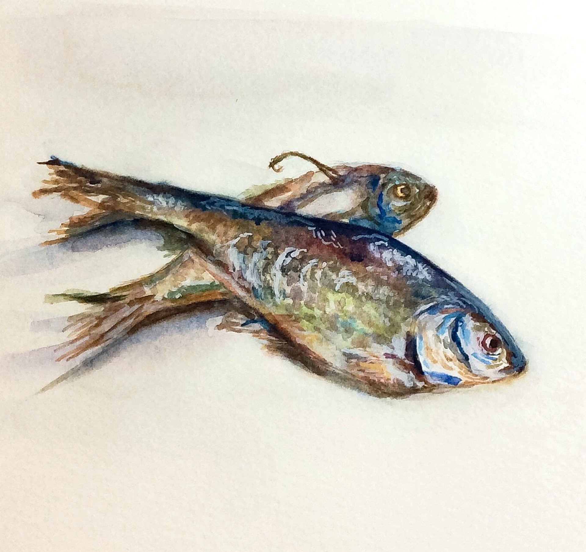 1920x1810 How To Paint Fish In Watercolors (Stilllife Painting) - Watercolor Fish