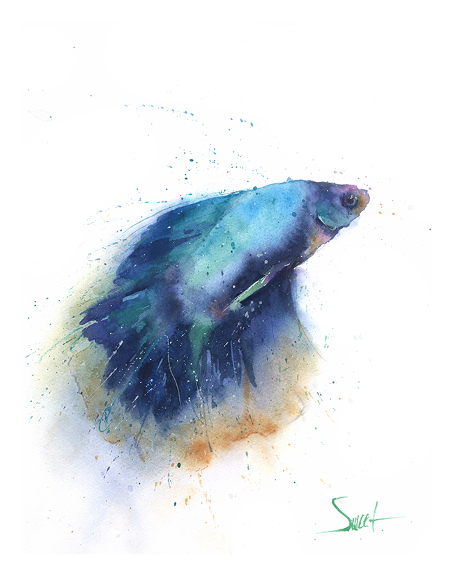 650x827 Betta Fish Original Watercolor Painting Watercolor Animal Paintings - Watercolor Fish