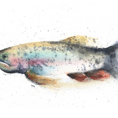 500x500 Lion Fish Original Watercolor Painting Watercolor Animal Paintings - Watercolor Fish Art