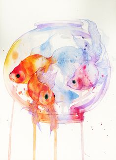 236x325 216 Best Watercolor Fish Images Drawings, Fish - Watercolor Fish Art
