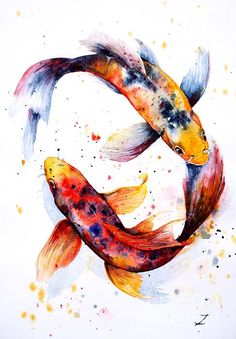 236x339 751 Best Fish Art Images In 2018 Watercolor - Watercolor Fish Art