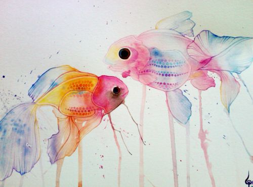 500x371 Watercolor Fish - Watercolor Fish Art