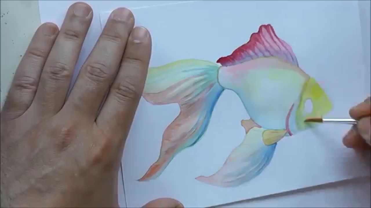 1280x720 Watercolor Fish - Watercolor Fish Art