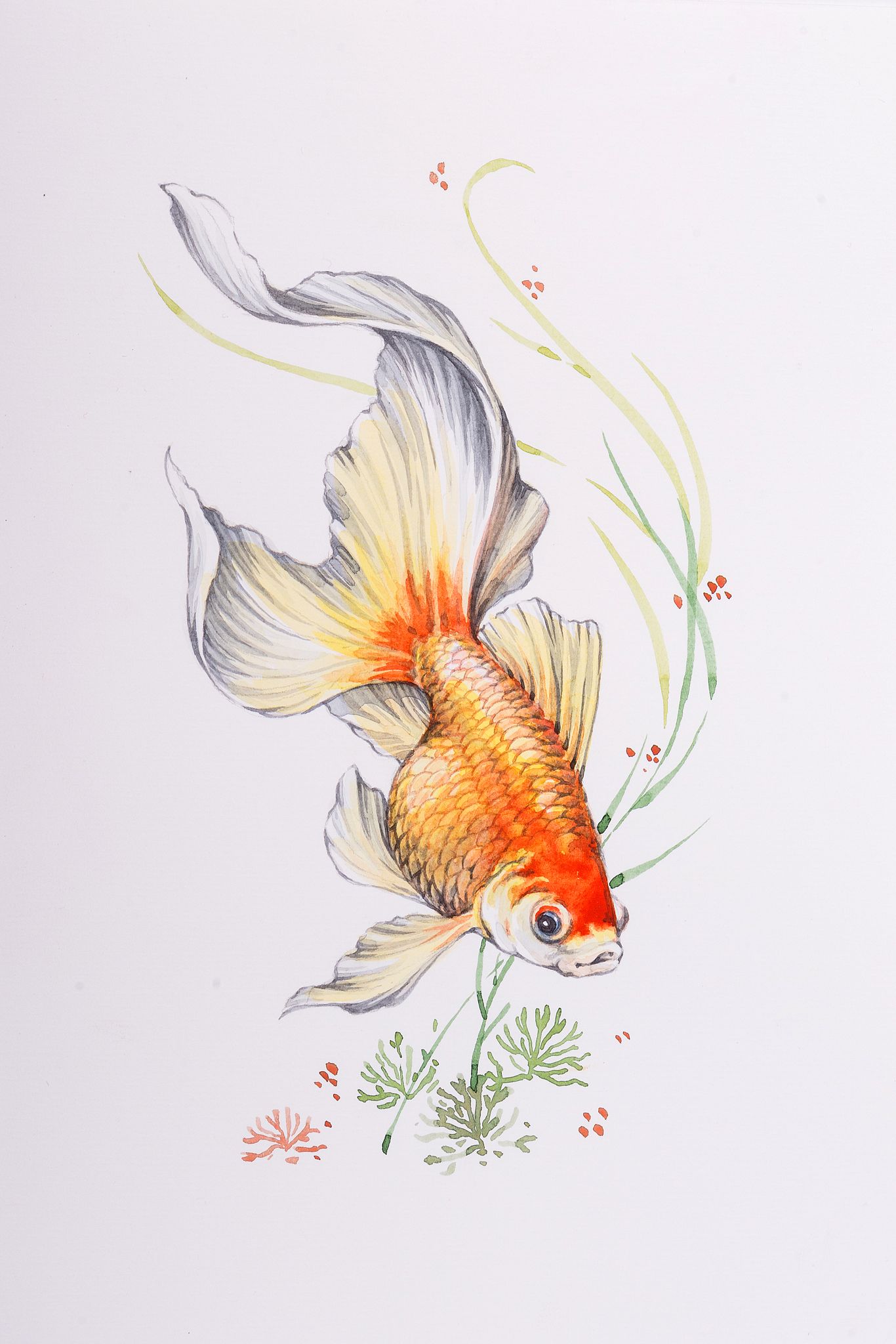 1366x2048 Golfish - Watercolor Fish Art