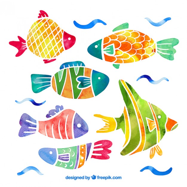 626x626 Collection Of Fish In Watercolor Effect Vector Free Download - Watercolor Fish Images