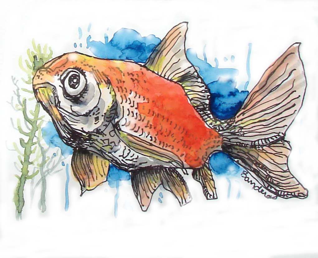 1021x827 7th8th Grade Watercolor Fish Paintings Making Many Magnificent - Watercolor Fish Images