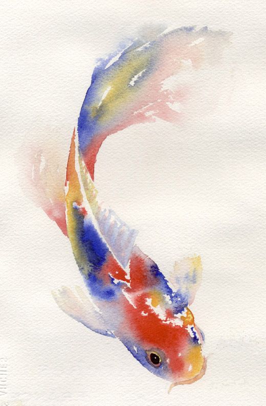 520x794 Pin By Miranda Warren On Watercolor Painting - Watercolor Fish Images