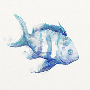 300x300 Tropical Fish Watercolor Paintings Fine Art America - Watercolor Fish Images