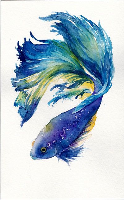 400x646 Anyone Want A Fight(Ing Fish) By Lexess Watercolour - Watercolor Fish Images