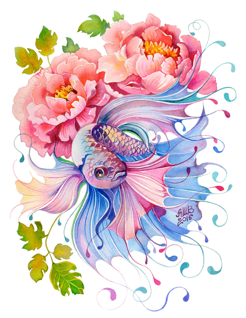 1000x1294 Anna Bucciarelli - Watercolor Fish Images