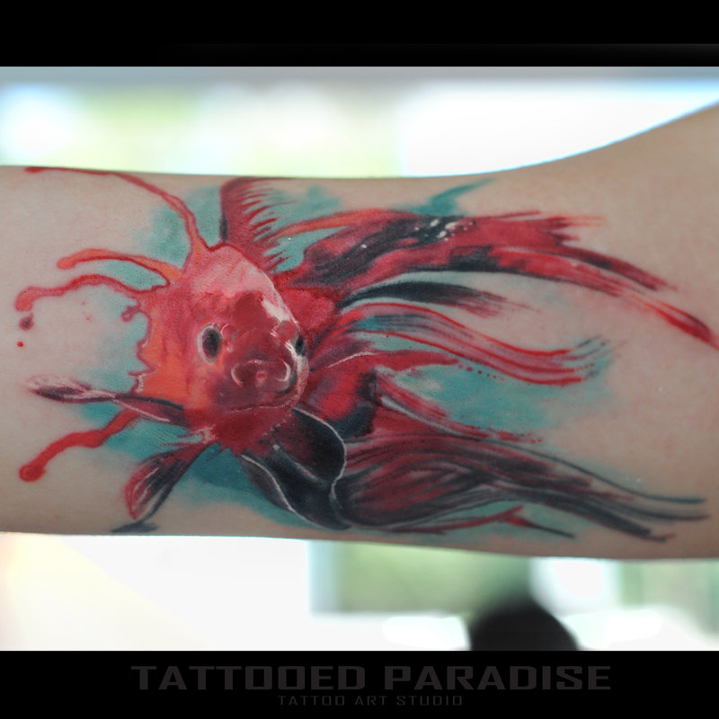 800x800 Watercolor Fish ) By Dopeindulgence - Watercolor Fish Tattoo