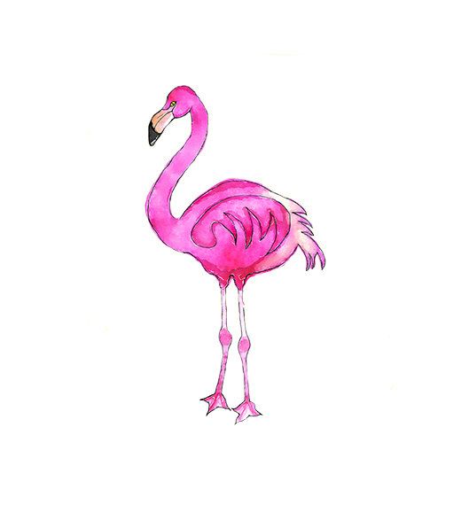 529x570 Flamingo Clipart Jpeg Cute Borders, Vectors, Animated, Black And - Watercolor Flamingo Clipart