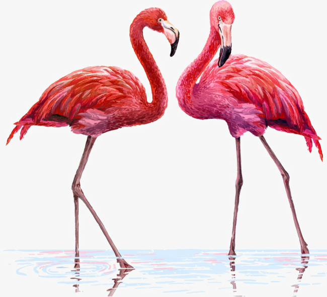 650x589 Two Flamingos, Flamingos, Birds, Watercolor Png Image And Clipart - Watercolor Flamingo Clipart