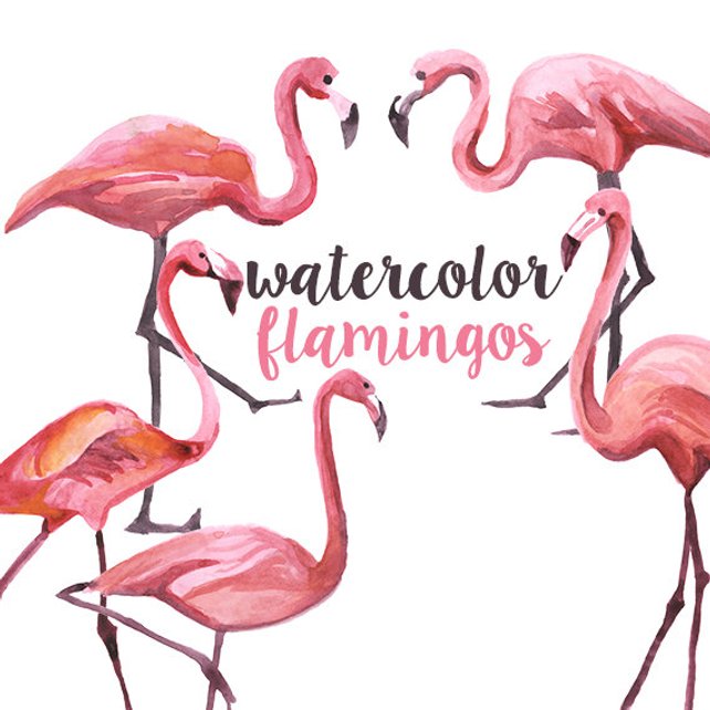 642x642 Watercolor Flamingo Clipart Etsy - Watercolor Flamingo Clipart