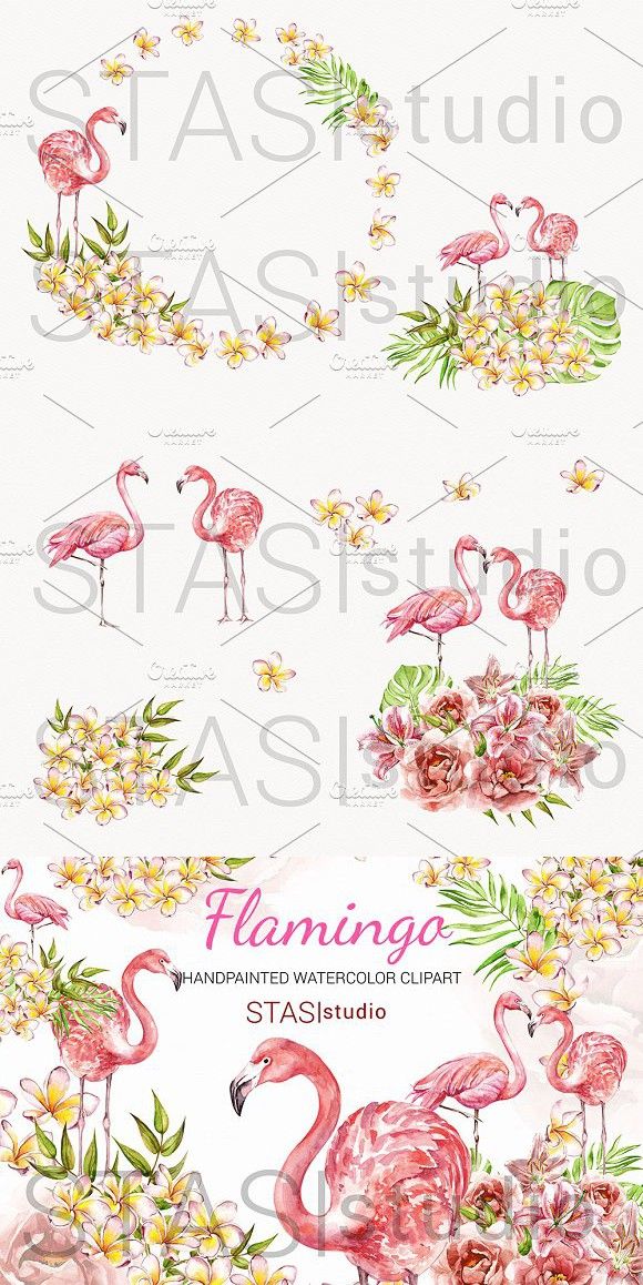 580x1158 Watercolor Flamingo Clipart Flamingo - Watercolor Flamingo Clipart