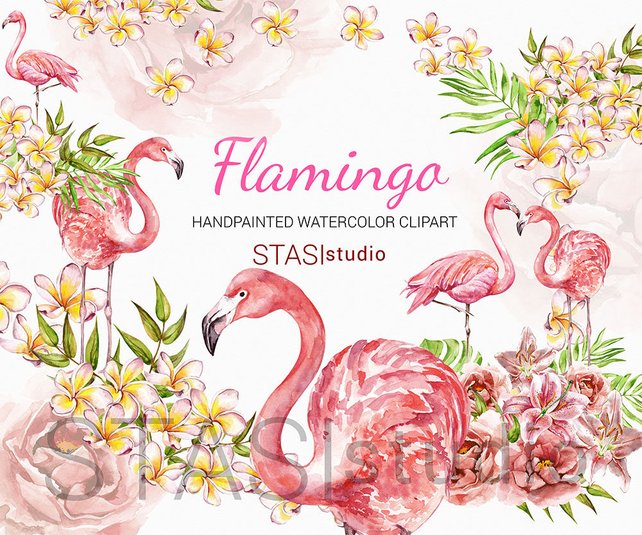 642x535 Watercolor Flamingo Clipart Frangipani Flowers Plumeria Etsy - Watercolor Flamingo Clipart