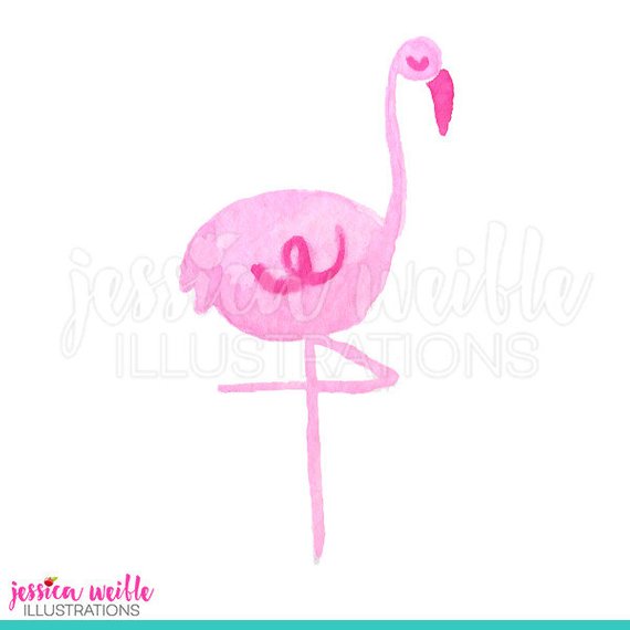 570x570 Watercolor Flamingo Cute Digital Clipart, Flamingo Clip Art - Watercolor Flamingo Clipart