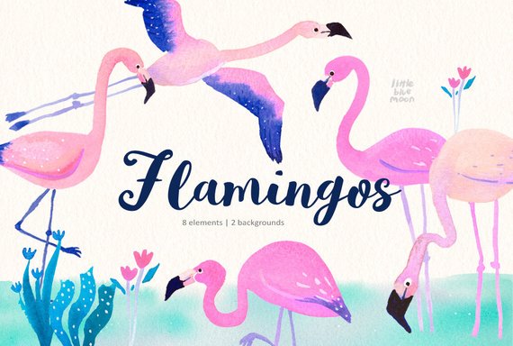 570x384 Watercolor Flamingos Clipart Pink Flamingos Cute Flamingo Etsy - Watercolor Flamingo Clipart