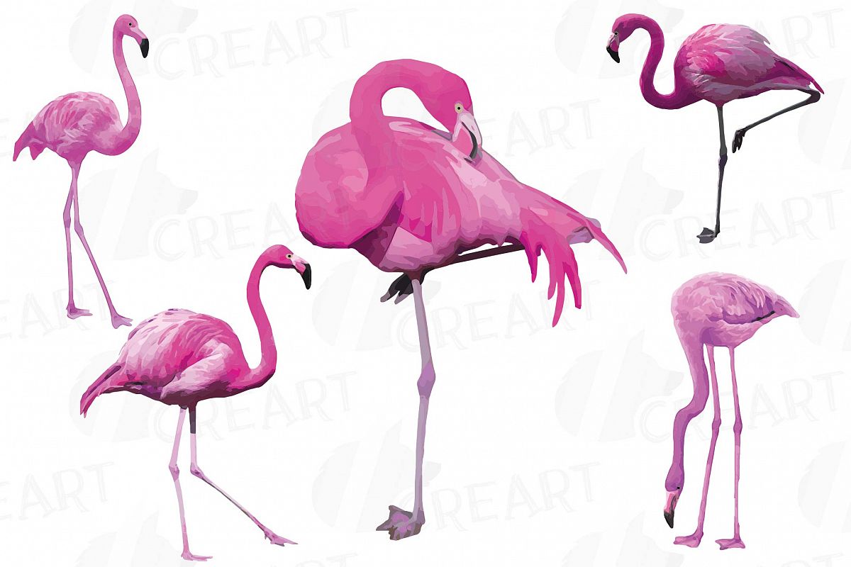 1200x800 Watercolor Flamingos Clipart. Tropical Design Bundles - Watercolor Flamingo Clipart